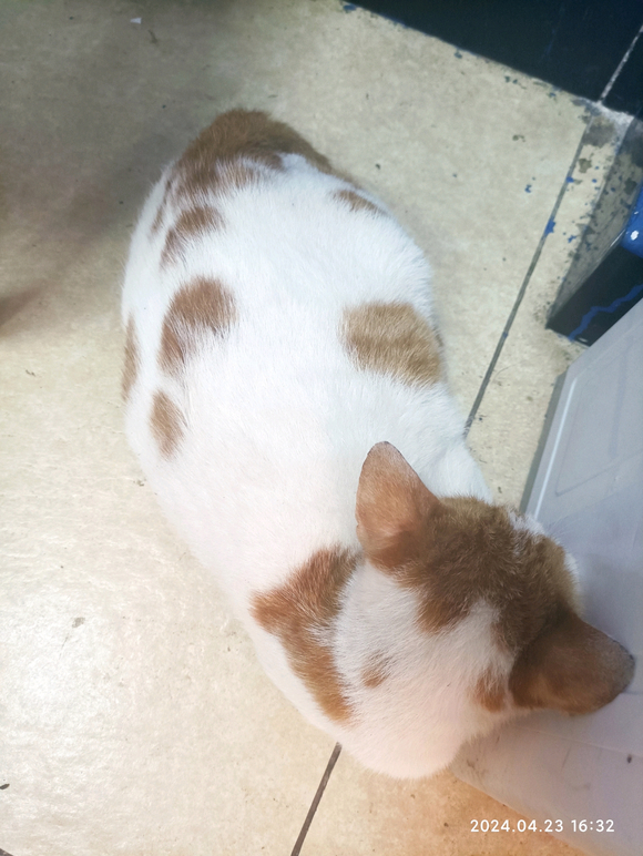 ”我是废物，之前一直戒色，戒了俩月还是破戒了