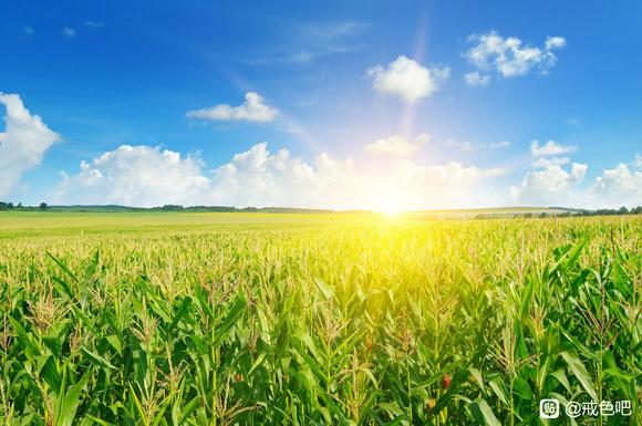 ”戒色第1118天了