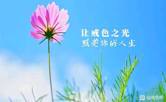 ”戒色两年的笔录感悟——面向太阳，奋力生长(转)