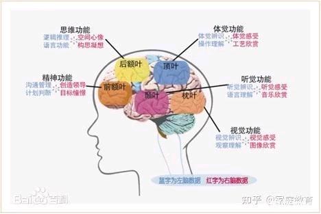 ”手机瘾的危害