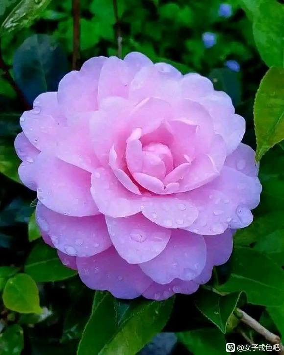 ”【转载】希望容貌漂亮这么做