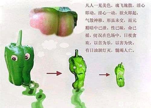 ”【转载】谐银果报，中医告诉你sy的危害！！