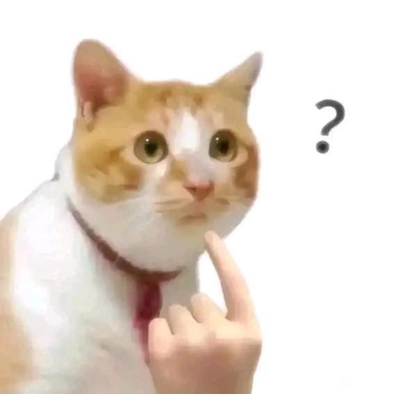 ”【成长记录】47打卡第五十二天