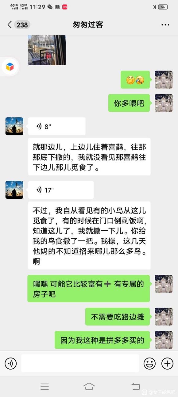 ”冬天要多多喂鸟亲