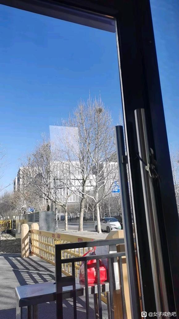 ”冬天要多多喂鸟亲