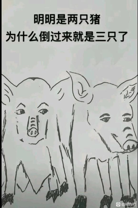 ”【成长记录】戒色大牛戒色第十八天