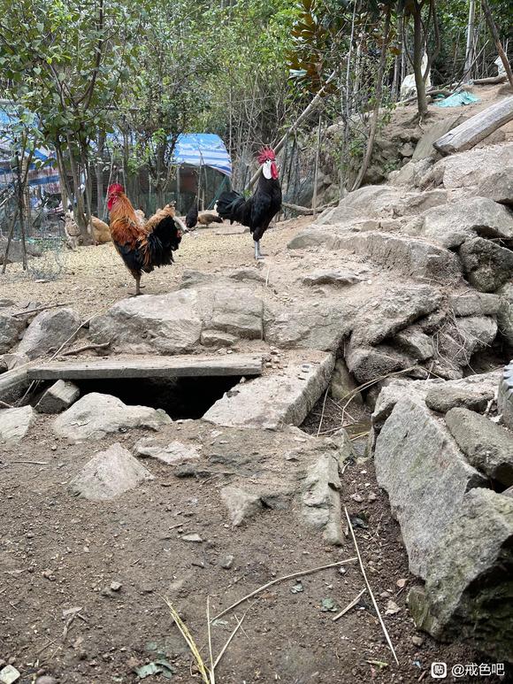 ”总得来大山里吧，戒掉一切烦恼