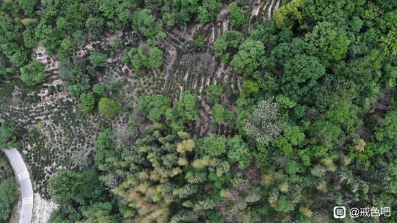 ”总得来大山里吧，戒掉一切烦恼