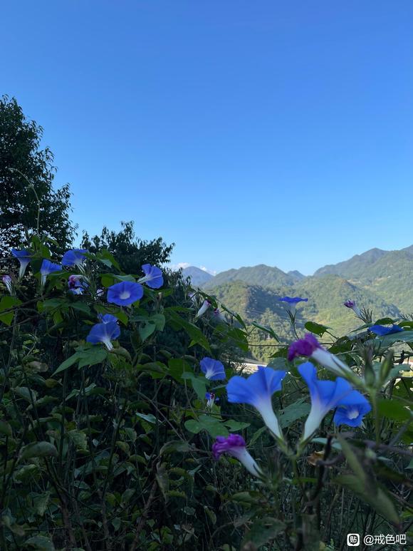 ”大山里，戒成功了