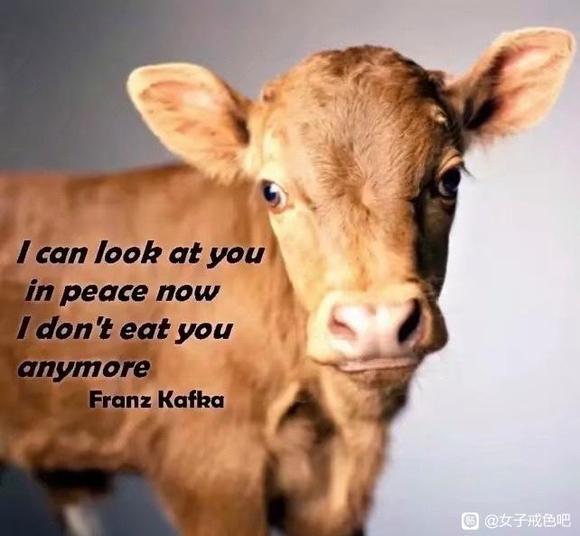 ”素食与不杀——尊重生命的起点，远离战争的深因。