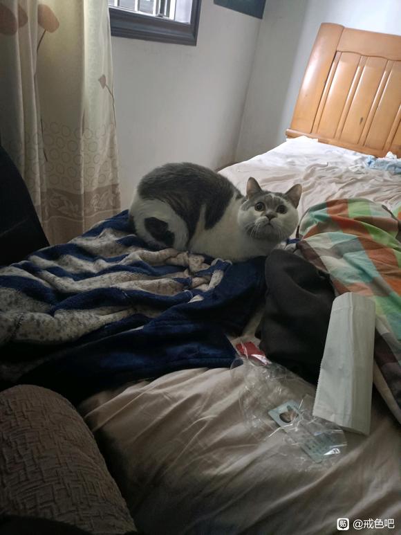 ”不信邪的打手冲，结果终于付出了惨痛的后果