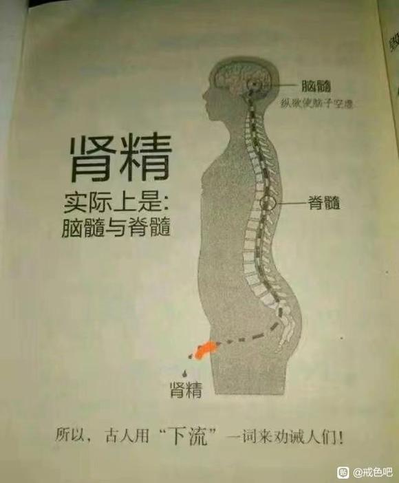 ”有医学解释吗，咋转化的啊