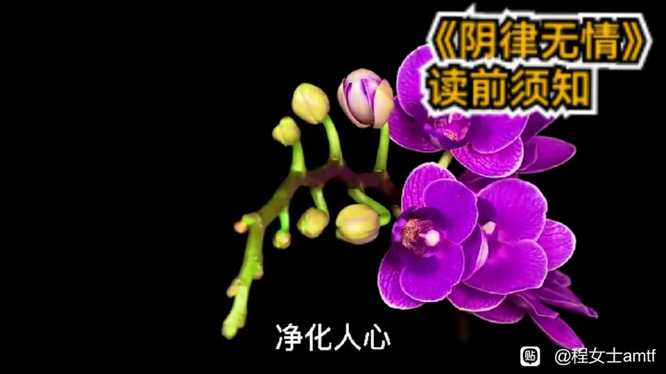 ”分享：《阴律无情》读前须知