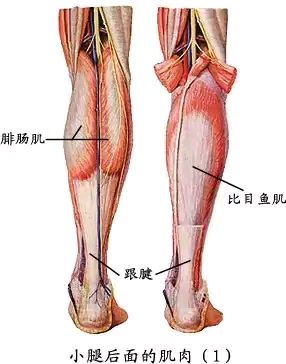 ”戒恋tui的癖好，心得1