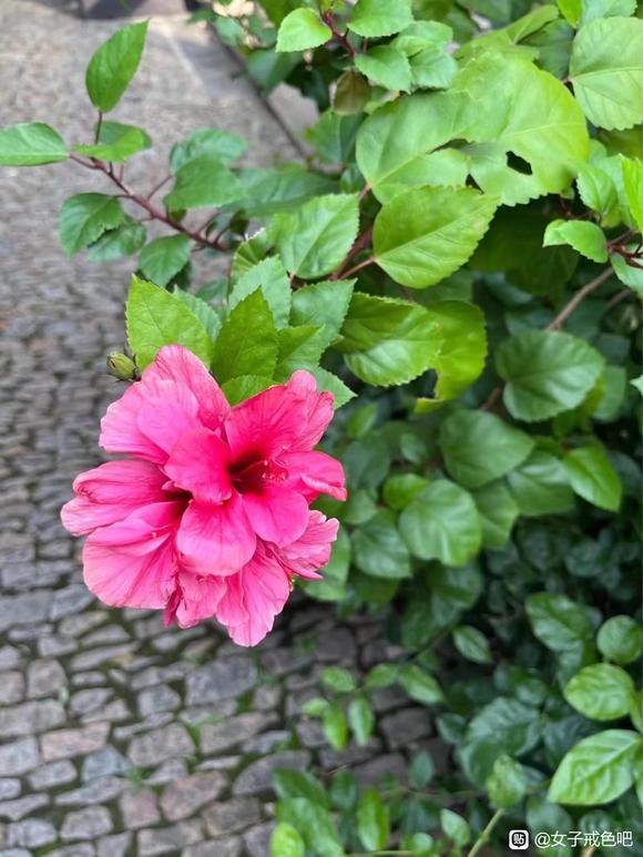 ”振作起来，戒好每一天！（戒色笔记