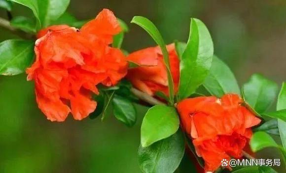 ”善良的人如何保护自己？做人要留个心眼。这很重要，你必须知道（