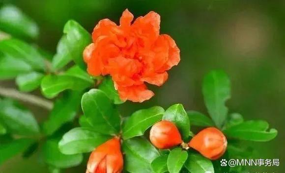 ”善良的人如何保护自己？做人要留个心眼。这很重要，你必须知道（