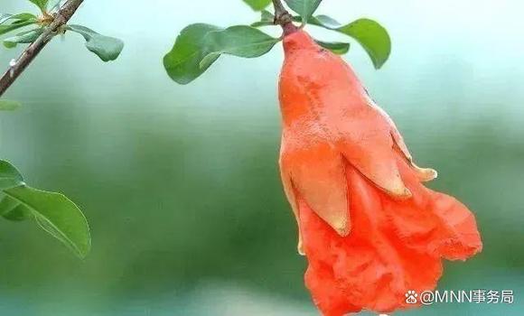 ”善良的人如何保护自己？做人要留个心眼。这很重要，你必须知道（