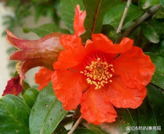 ”善良的人如何保护自己？做人要留个心眼。这很重要，你必须知道（