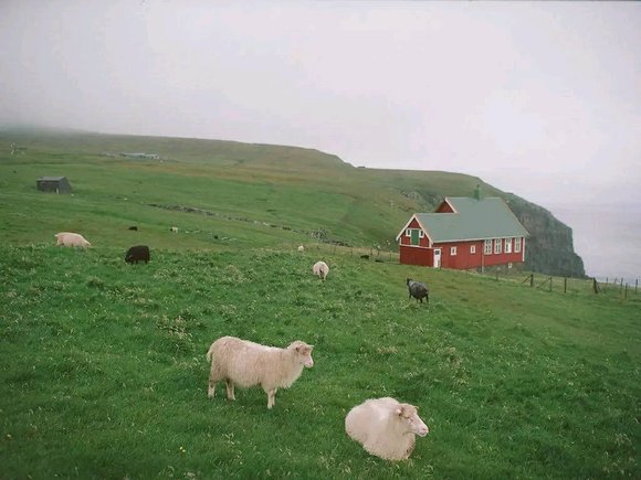 ”淫欲心重的人，不可不知邪淫的100个可怕后果！