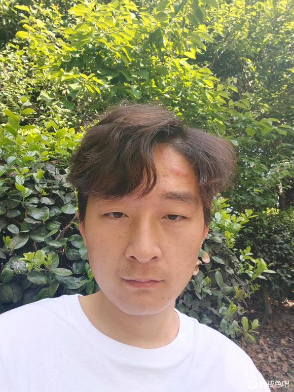 ”可以恢复到以前的样子吗