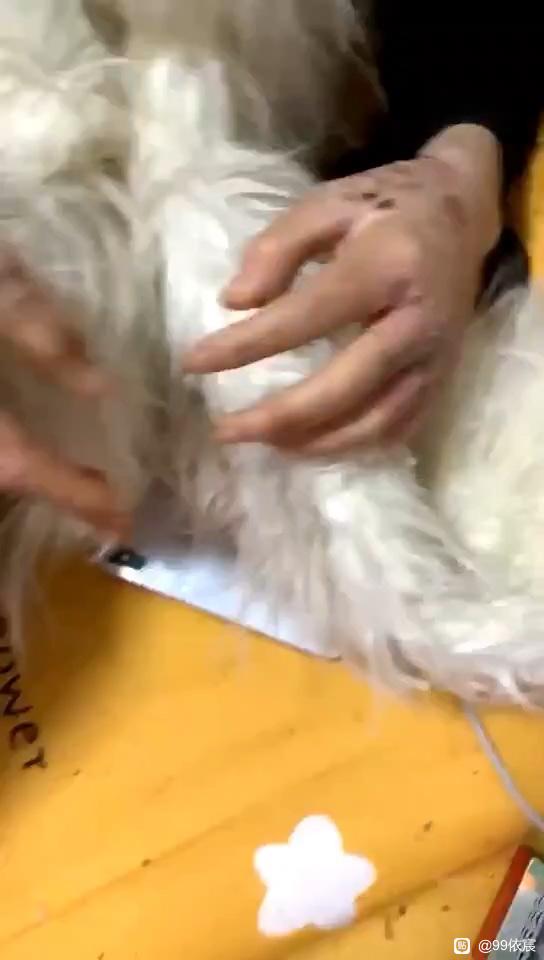 ”分享：现在没事，是福报还在支撑着，福报用尽，苦难来临。