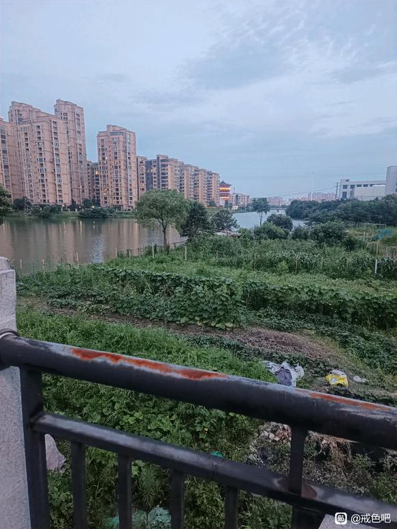 ”父母老去，不要挥霍自己的身体，，在他需要我的时候我能扛起这个家