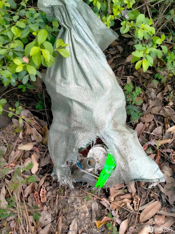 ”今天捡垃圾的图片