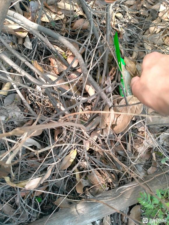 ”今天捡垃圾的图片