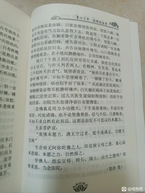 ”师兄们，今天第四天