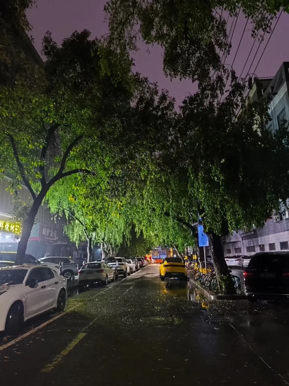 ”早起的鸟儿有虫吃