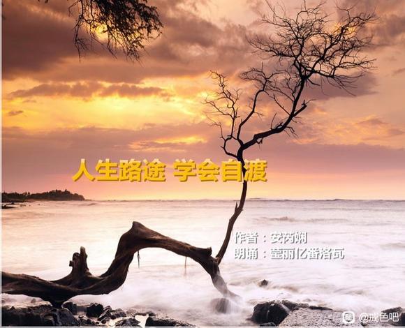 ”sy4年是多么对无知