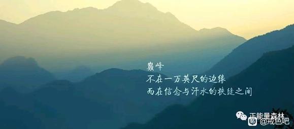 ”不要沉溺于短期反馈的快感