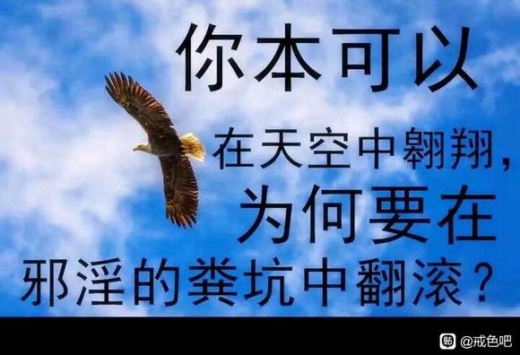 ”求戒色图片文集