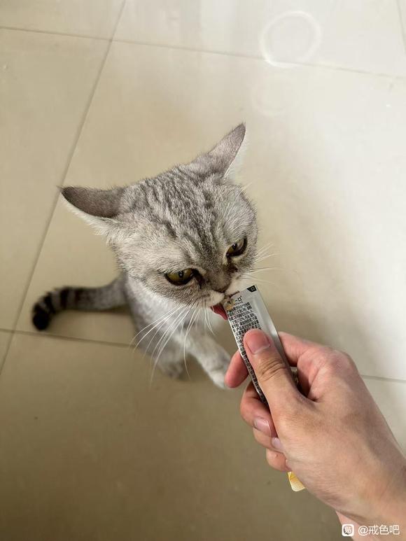 ”用于监督自己