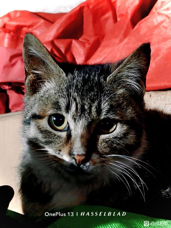 ”用于监督自己