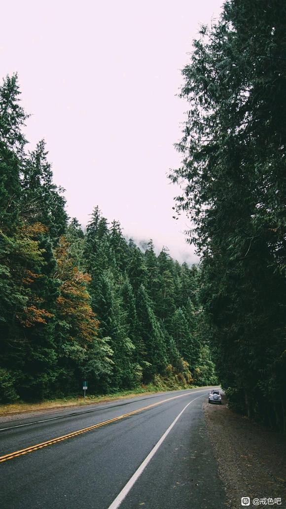 ”打卡贴，加油!