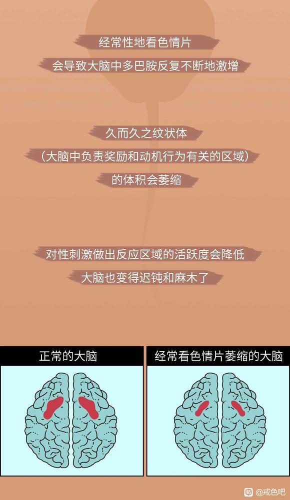 ”色情意淫对人大脑神经的损伤，对生殖、呼吸系统的损伤