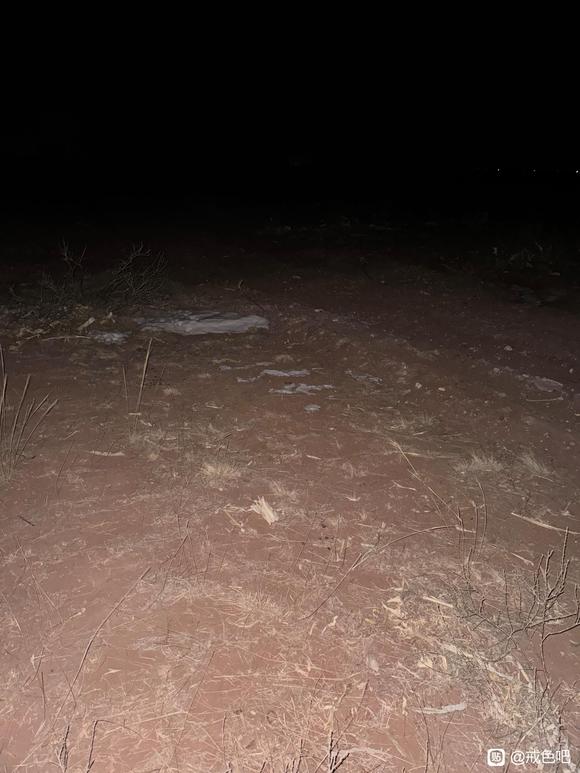 ”不行了❌，满脑子都是是，怎么办老哥呀