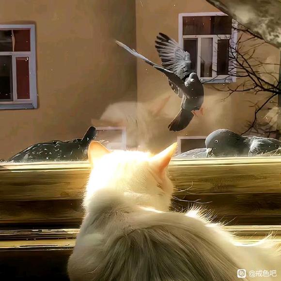 ”阅读时的相关分享