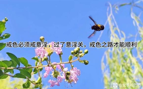 ”从八字谈婚姻