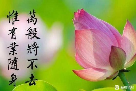 ”戒色与容貌气色恢复详解