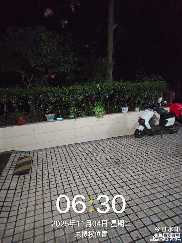 ”11月早起打卡贴