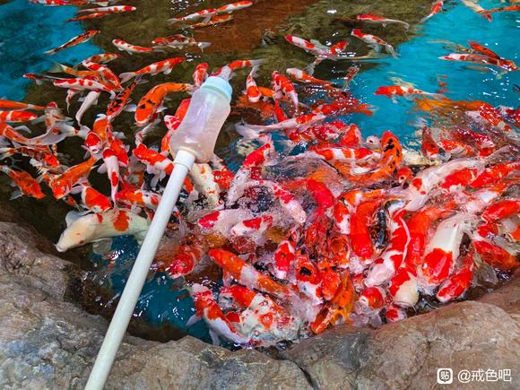 ”所有的不幸都源自对未来的恐惧