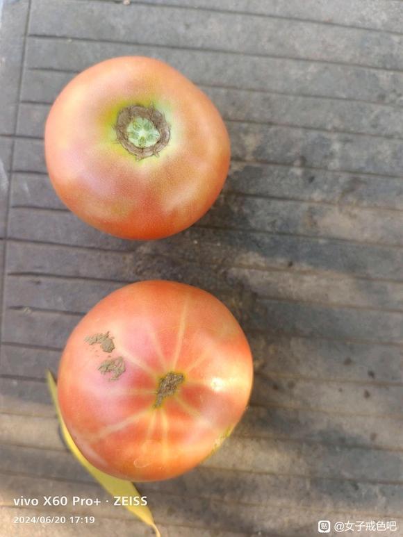 ”向道忏悔，邪淫便消