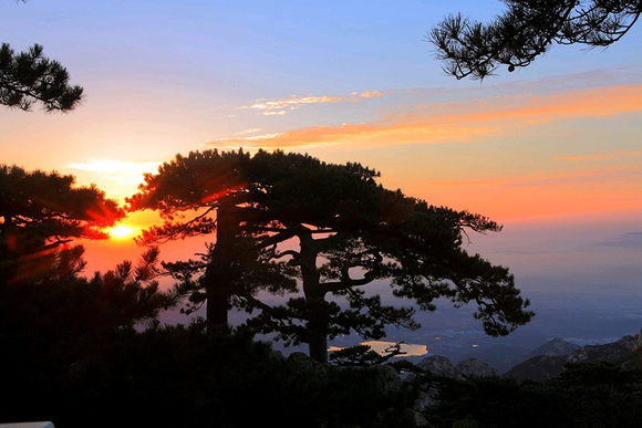 ”恢复视力的奇穴，适用于所有人，不会用太可惜！#护眼#