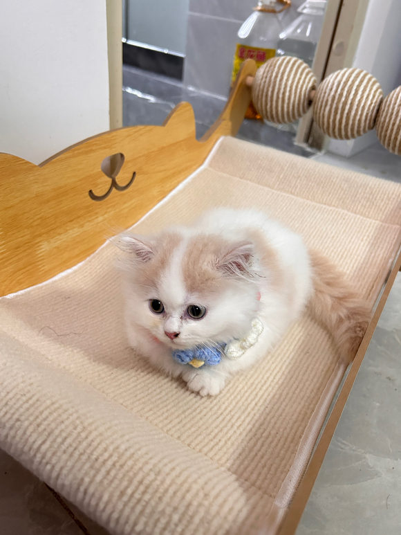 ”来个戒色搭子互相监督打卡