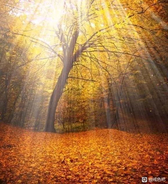 ”#微信看病卖药是假的#案例警示教育