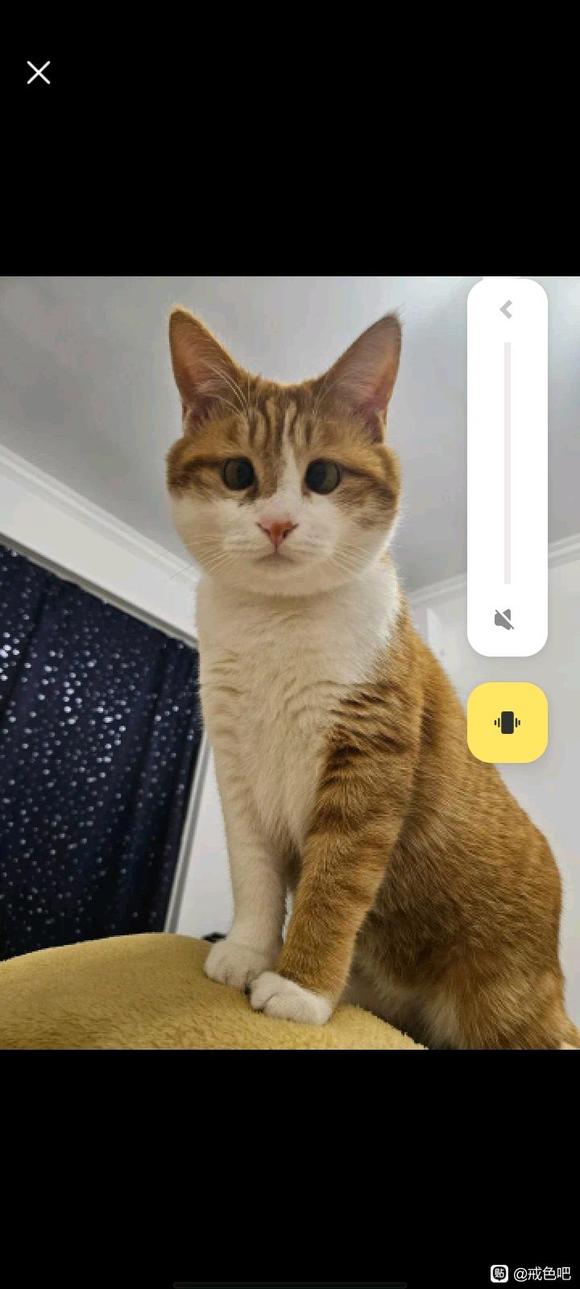 ”当对所有事都感到无能为力时