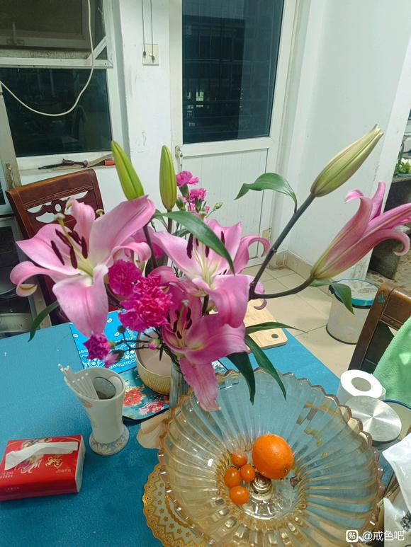 ”九年面壁，百岁以上